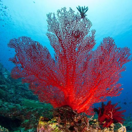 Adani Ksamil Dış mekan fotoğraf