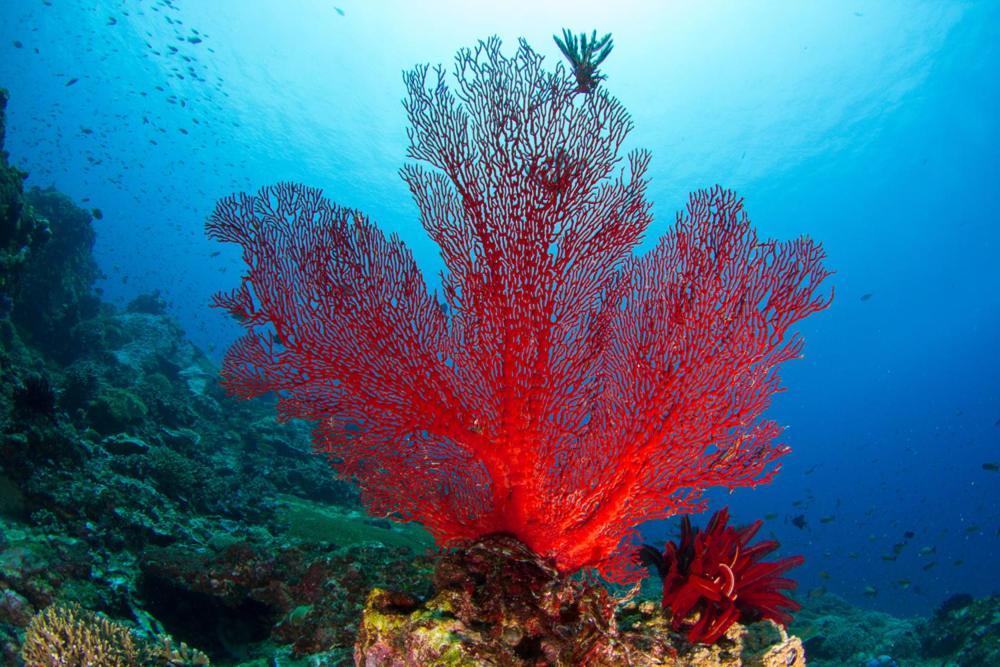 Adani Ksamil Dış mekan fotoğraf